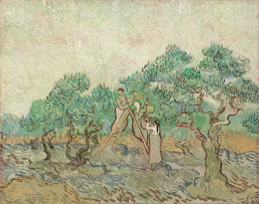 The Olive Orchard (1889) by Vincent van Gogh